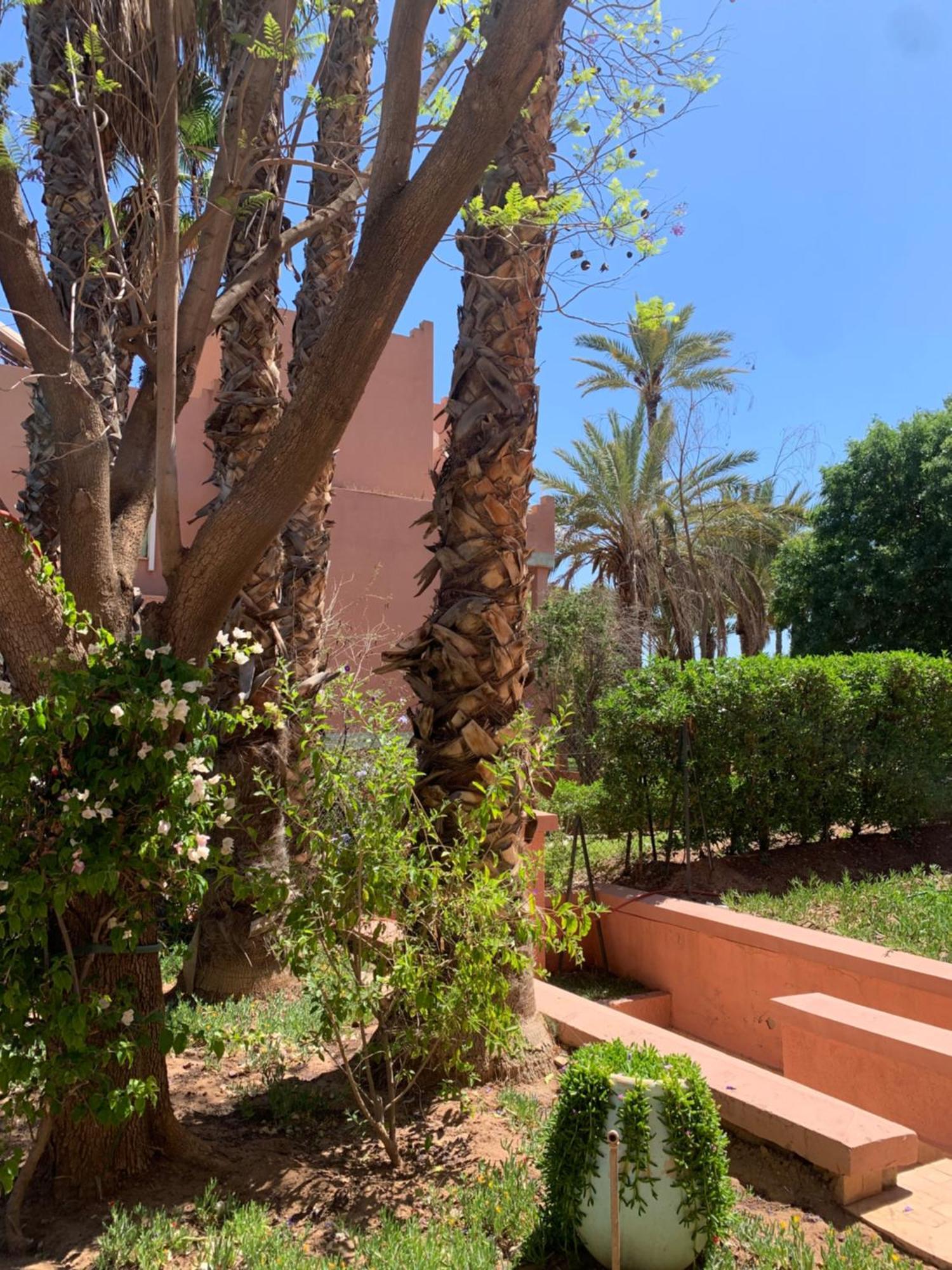 Villa Avec Piscine Privatisee A La Palmeraie Marrakesz Zewnętrze zdjęcie