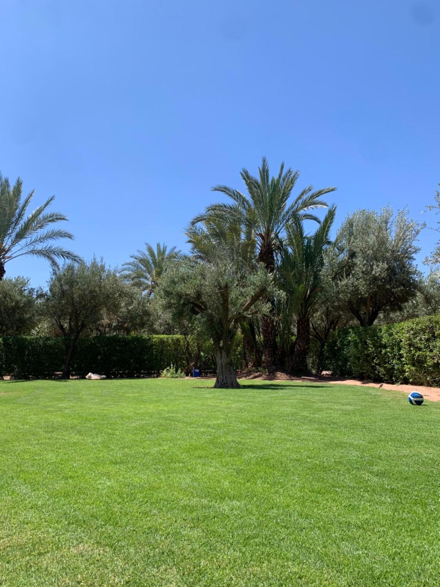 Villa Avec Piscine Privatisee A La Palmeraie Marrakesz Zewnętrze zdjęcie