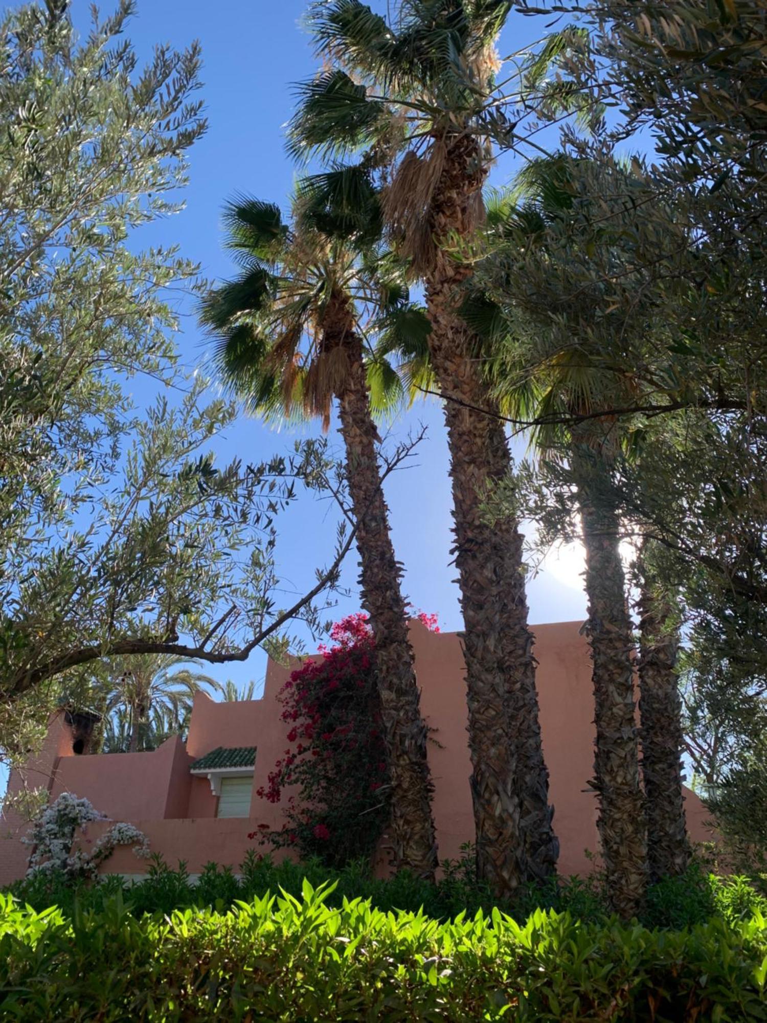 Villa Avec Piscine Privatisee A La Palmeraie Marrakesz Zewnętrze zdjęcie